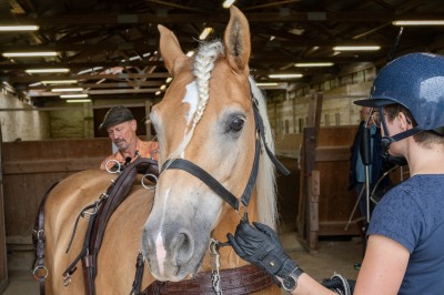 Peter Reich und Dr. Hans-Jörg Zöllner sehen beim Training der Haflinger zu