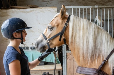 Peter Reich und Dr. Hans-Jörg Zöllner sehen beim Training der Haflinger zu