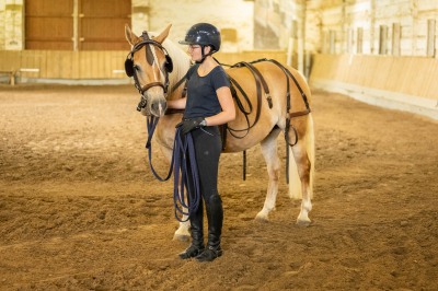 Peter Reich und Dr. Hans-Jörg Zöllner sehen beim Training der Haflinger zu