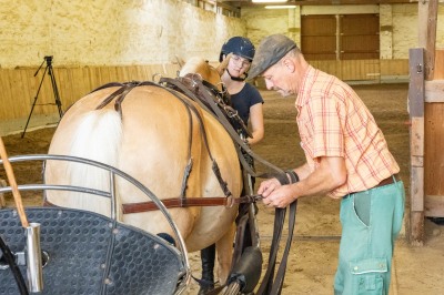 Peter Reich und Dr. Hans-Jörg Zöllner sehen beim Training der Haflinger zu
