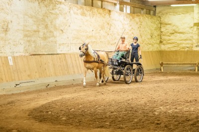 Peter Reich und Dr. Hans-Jörg Zöllner sehen beim Training der Haflinger zu