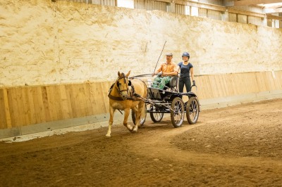 Peter Reich und Dr. Hans-Jörg Zöllner sehen beim Training der Haflinger zu
