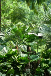 Singapur