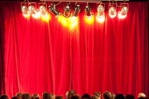 Weihnachtsmärchen 2009: Der Froschkönig