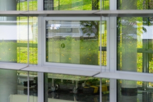 Frühling am Sophien- und Hufeland-Klinikum Weimar Frühling am Sophien- und Hufeland-Klinikum Weimar
