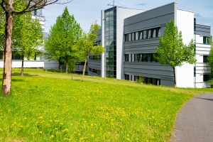 Frühling am Sophien- und Hufeland-Klinikum Weimar