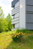 Frühling am Sophien- und Hufeland-Klinikum Weimar Frühling am Sophien- und Hufeland-Klinikum Weimar