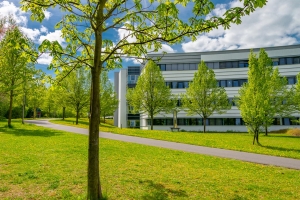 Frühling am Sophien- und Hufeland-Klinikum Weimar