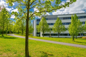 Frühling am Sophien- und Hufeland-Klinikum Weimar Frühling am Sophien- und Hufeland-Klinikum Weimar