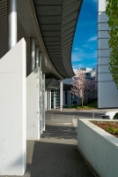 Frühling am Sophien- und Hufeland-Klinikum Weimar Frühling am Sophien- und Hufeland-Klinikum Weimar