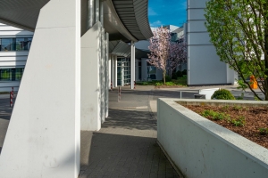 Frühling am Sophien- und Hufeland-Klinikum Weimar Frühling am Sophien- und Hufeland-Klinikum Weimar