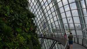 Singapur