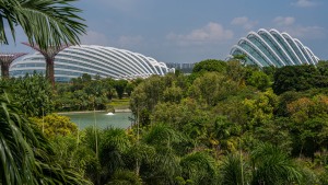 Singapur