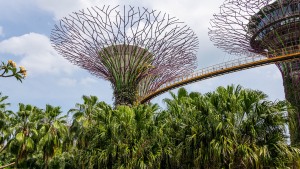 Singapur