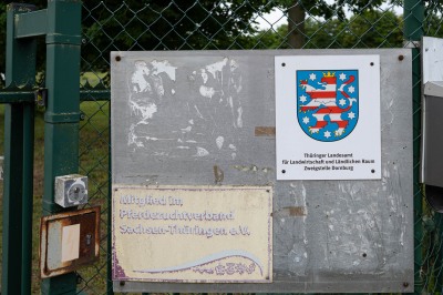 Peter Reich und Dr. Hans-Jörg Zöllner beobachten den Weg der Haflinger vom Stall auf die Weide