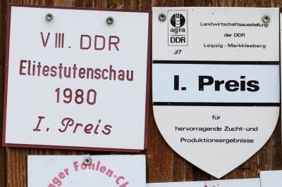 Peter Reich und Dr. Hans-Jörg Zöllner beobachten den Weg der Haflinger vom Stall auf die Weide