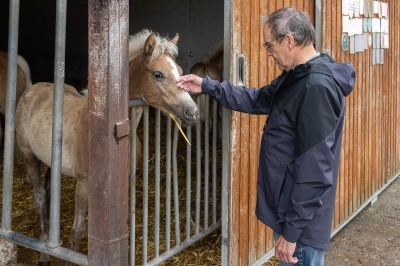 Peter Reich und Dr. Hans-Jörg Zöllner beobachten den Weg der Haflinger vom Stall auf die Weide