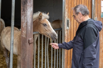 Peter Reich und Dr. Hans-Jörg Zöllner beobachten den Weg der Haflinger vom Stall auf die Weide