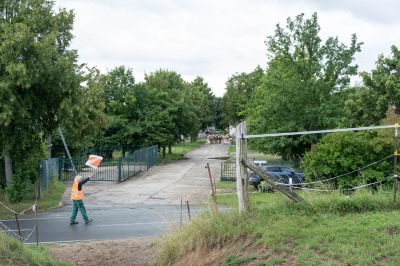 Peter Reich und Dr. Hans-Jörg Zöllner beobachten den Weg der Haflinger vom Stall auf die Weide