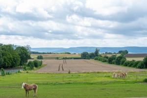 Peter Reich und Dr. Hans-Jörg Zöllner beobachten den Weg der Haflinger vom Stall auf die Weide Peter Reich und Dr. Hans-Jörg Zöllner beobachten den Weg der Haflinger vom Stall auf die Weide