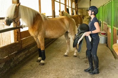 Peter Reich und Dr. Hans-Jörg Zöllner sehen beim Training der Haflinger zu
