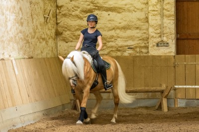 Peter Reich und Dr. Hans-Jörg Zöllner sehen beim Training der Haflinger zu