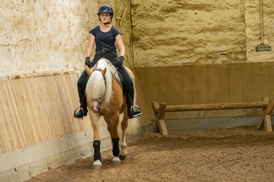 Peter Reich und Dr. Hans-Jörg Zöllner sehen beim Training der Haflinger zu