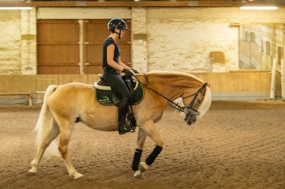 Peter Reich und Dr. Hans-Jörg Zöllner sehen beim Training der Haflinger zu