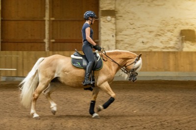 Peter Reich und Dr. Hans-Jörg Zöllner sehen beim Training der Haflinger zu