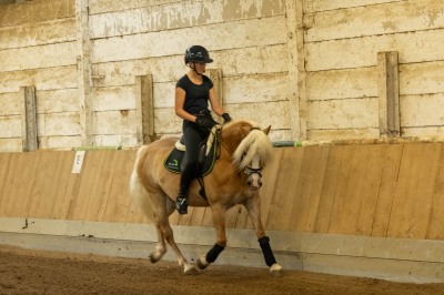 Peter Reich und Dr. Hans-Jörg Zöllner sehen beim Training der Haflinger zu