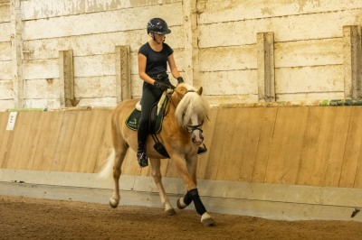 Peter Reich und Dr. Hans-Jörg Zöllner sehen beim Training der Haflinger zu