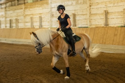 Peter Reich und Dr. Hans-Jörg Zöllner sehen beim Training der Haflinger zu