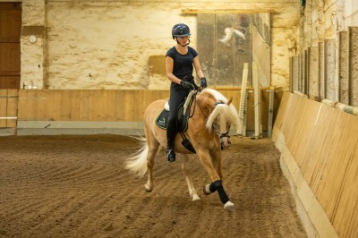Peter Reich und Dr. Hans-Jörg Zöllner sehen beim Training der Haflinger zu