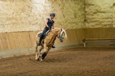 Peter Reich und Dr. Hans-Jörg Zöllner sehen beim Training der Haflinger zu