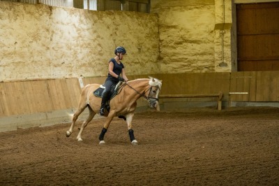 Peter Reich und Dr. Hans-Jörg Zöllner sehen beim Training der Haflinger zu
