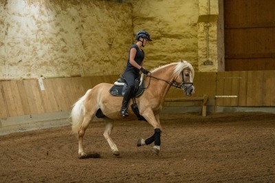 Peter Reich und Dr. Hans-Jörg Zöllner sehen beim Training der Haflinger zu