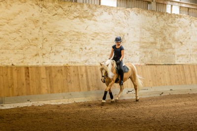 Peter Reich und Dr. Hans-Jörg Zöllner sehen beim Training der Haflinger zu