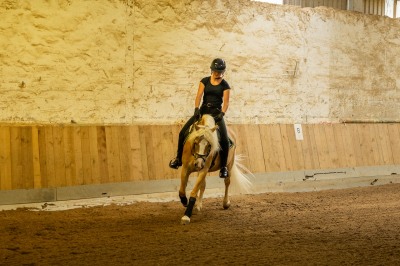 Peter Reich und Dr. Hans-Jörg Zöllner sehen beim Training der Haflinger zu