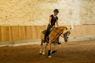 Peter Reich und Dr. Hans-Jörg Zöllner sehen beim Training der Haflinger zu