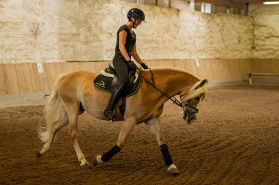Peter Reich und Dr. Hans-Jörg Zöllner sehen beim Training der Haflinger zu