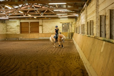 Peter Reich und Dr. Hans-Jörg Zöllner sehen beim Training der Haflinger zu
