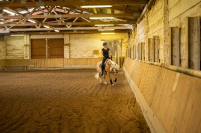 Peter Reich und Dr. Hans-Jörg Zöllner sehen beim Training der Haflinger zu