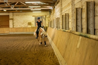 Peter Reich und Dr. Hans-Jörg Zöllner sehen beim Training der Haflinger zu