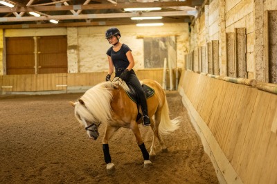 Peter Reich und Dr. Hans-Jörg Zöllner sehen beim Training der Haflinger zu