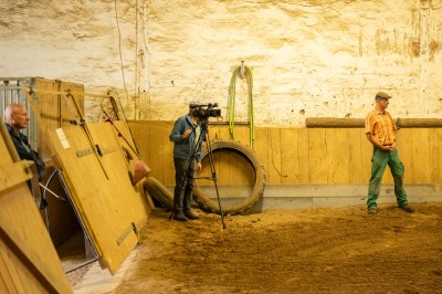 Peter Reich und Dr. Hans-Jörg Zöllner sehen beim Training der Haflinger zu