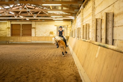 Peter Reich und Dr. Hans-Jörg Zöllner sehen beim Training der Haflinger zu