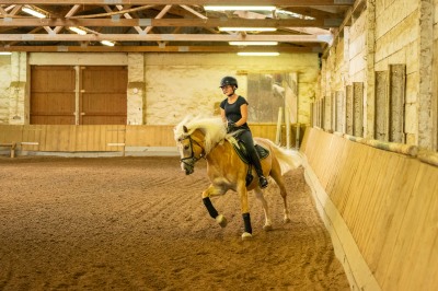 Peter Reich und Dr. Hans-Jörg Zöllner sehen beim Training der Haflinger zu
