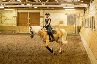 Peter Reich und Dr. Hans-Jörg Zöllner sehen beim Training der Haflinger zu