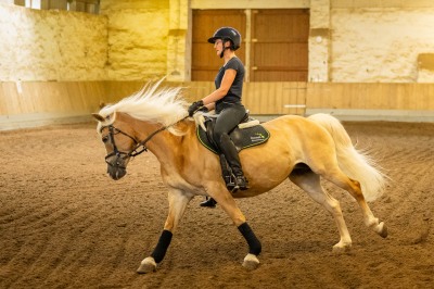 Peter Reich und Dr. Hans-Jörg Zöllner sehen beim Training der Haflinger zu