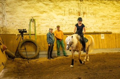 Peter Reich und Dr. Hans-Jörg Zöllner sehen beim Training der Haflinger zu